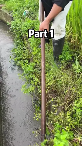 My Older Brother Coming To My Home And Takes Whatever He Wants, Saying I Have To Share, Today He Took My Fridge And Made Me Pay For Delivery. So I Made A Sticky Trap With Bait Especially For Him #reddit