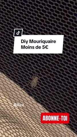✨DIY moustiquaire moins de 5€✨ #moustique #ete #moustiquaire #DIY #tuto #bricolage #diymoustiquaire #piqure 