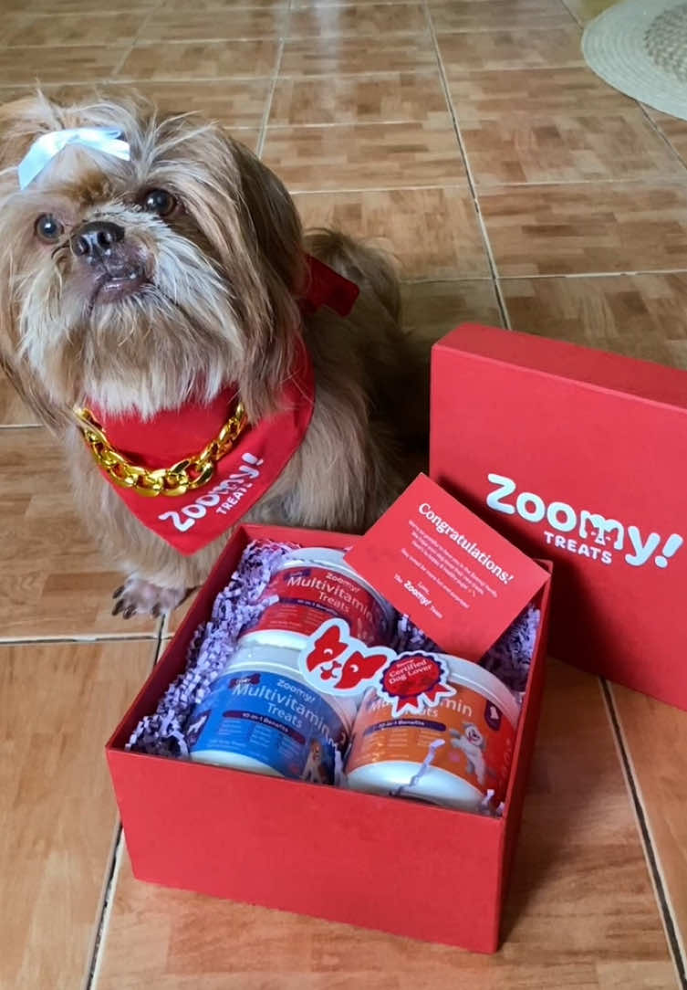 Unboxing some healthy goodies for my furbaby from @Zoomy Treats. Thank you so much for sending these wonderful gifts 😊💕💕 #fypシ゚ #rookie #PetsOfTikTok #shihtzu #furbabies #zoomytreats #GalingZoomy #multivitamintreats 