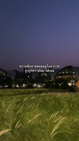 ชิบหายละ  #fffffffffffyyyyyyyyyyypppppppppppp #foryou #ฟีดดดシ #fyp #ฮีลใจ #สตอรี่ความรู้สึก #เธรดความรู้สึก #เธรดตลก 