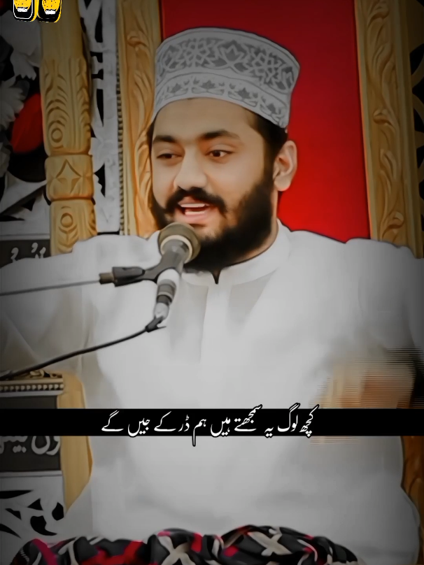 ہم حیدر عباس کے نوکر ہیں💯✌️ #viralvideo #goviral #pleasedontunderreviewmyvedios #pleaseunfrezzemyaccount #idaretusadiqeen #trandingvideo 