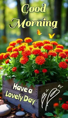 Good morning 