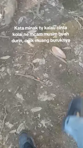 Rupanya macam inyan kesahnya ne🤣 #fyp #fypシ #nyandau #nyandaudurian #musim #durian #kataminak #kina #buangburuk 