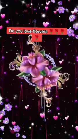 #beautifulroses😍🥰🌹 rose #fazza♥🇦🇪 #beautifulrose #princefazza3👑💖 
