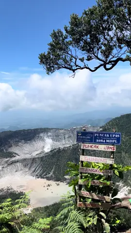 SOO PRETTY #kawahupas #gunungtangkubanperahu #puncakupashill #mountain 
