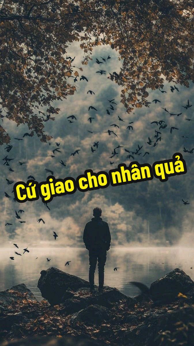 Cứ giao cho nhân quả…#thuanbuomxuoigio #binhan #tamtrang #trend #xh #camxuc #phatphapnhiemmau #cs #buon 