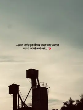 একটা শান্তিপূর্ণ জীবন ছাড়া আর কোনো আশা আকাঙ্ক্ষা নেই….!❤️‍🩹#fuppppppppppppppppppppppppp #foryoupage #rupok 