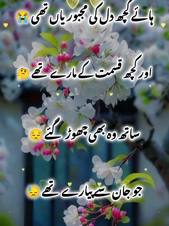 Hy Koch Dil ki majborya ti#unfrezzmyaccount #fyp #foryoupage #urdupoetry 