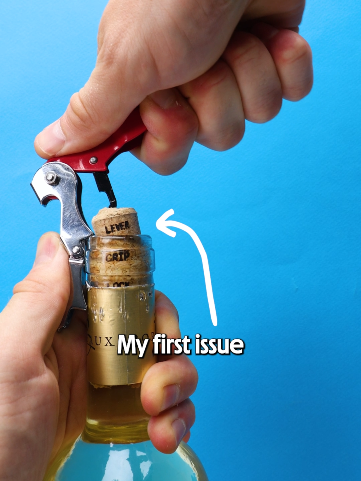 Redesigning the ubiquitous waiter's corkscrew.