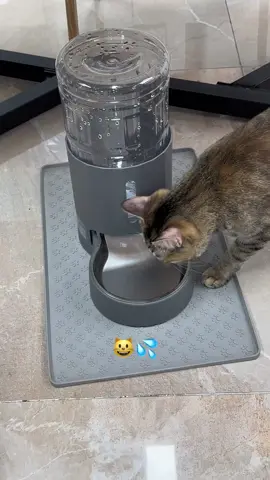This cat paw placemat makes this water dispenser cuter🤩 #waterdispenser #catlover #catlife #cutecat #catsupplies #petsupplies #catsoftiktok 