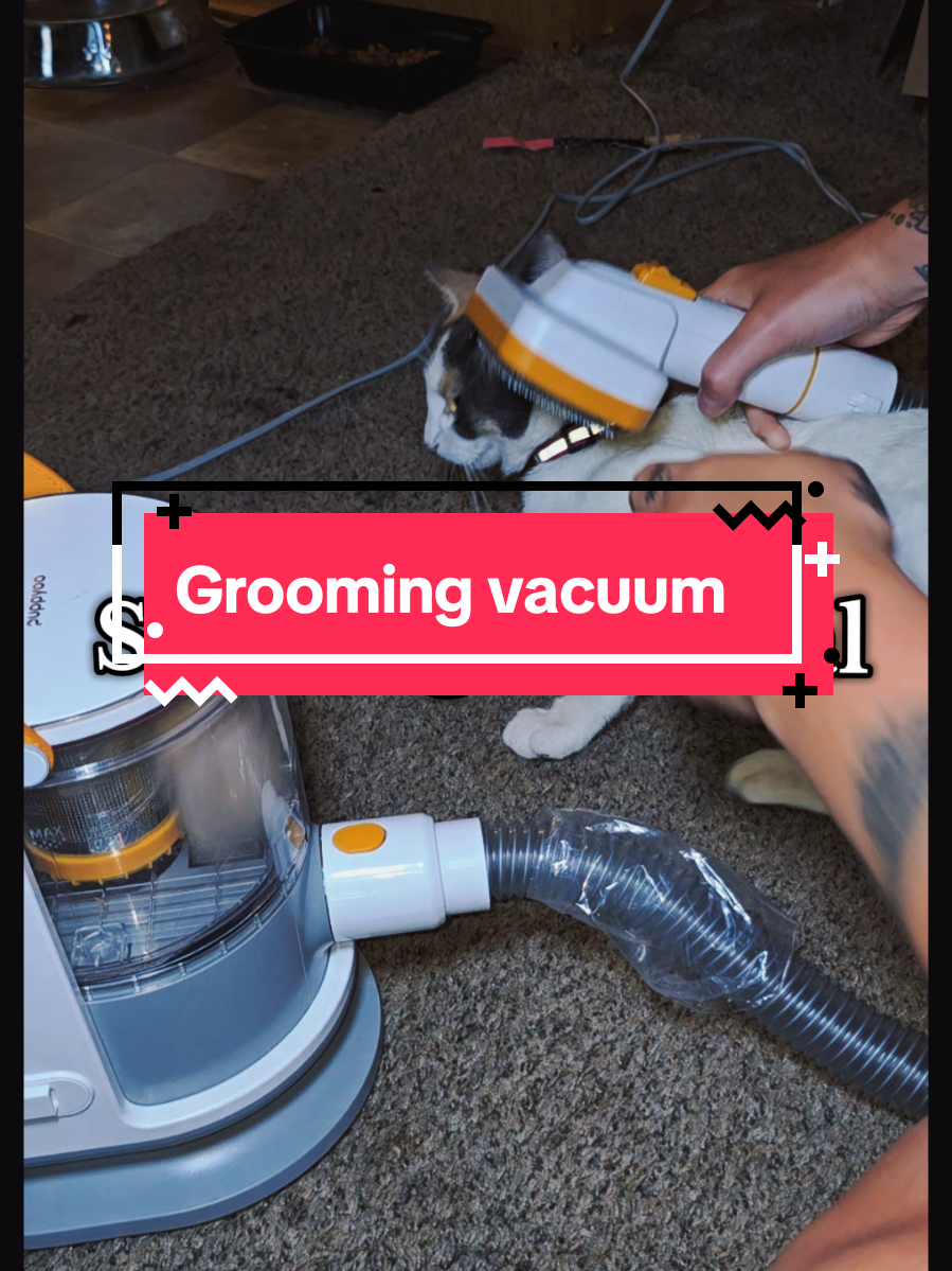 Absolutely so great for Summer shedding! #petvacuum  #groomingvacuum  #dealsforyoudays 