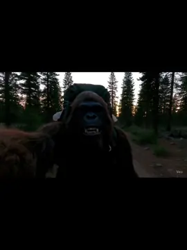 Bigfoot goes camping 
