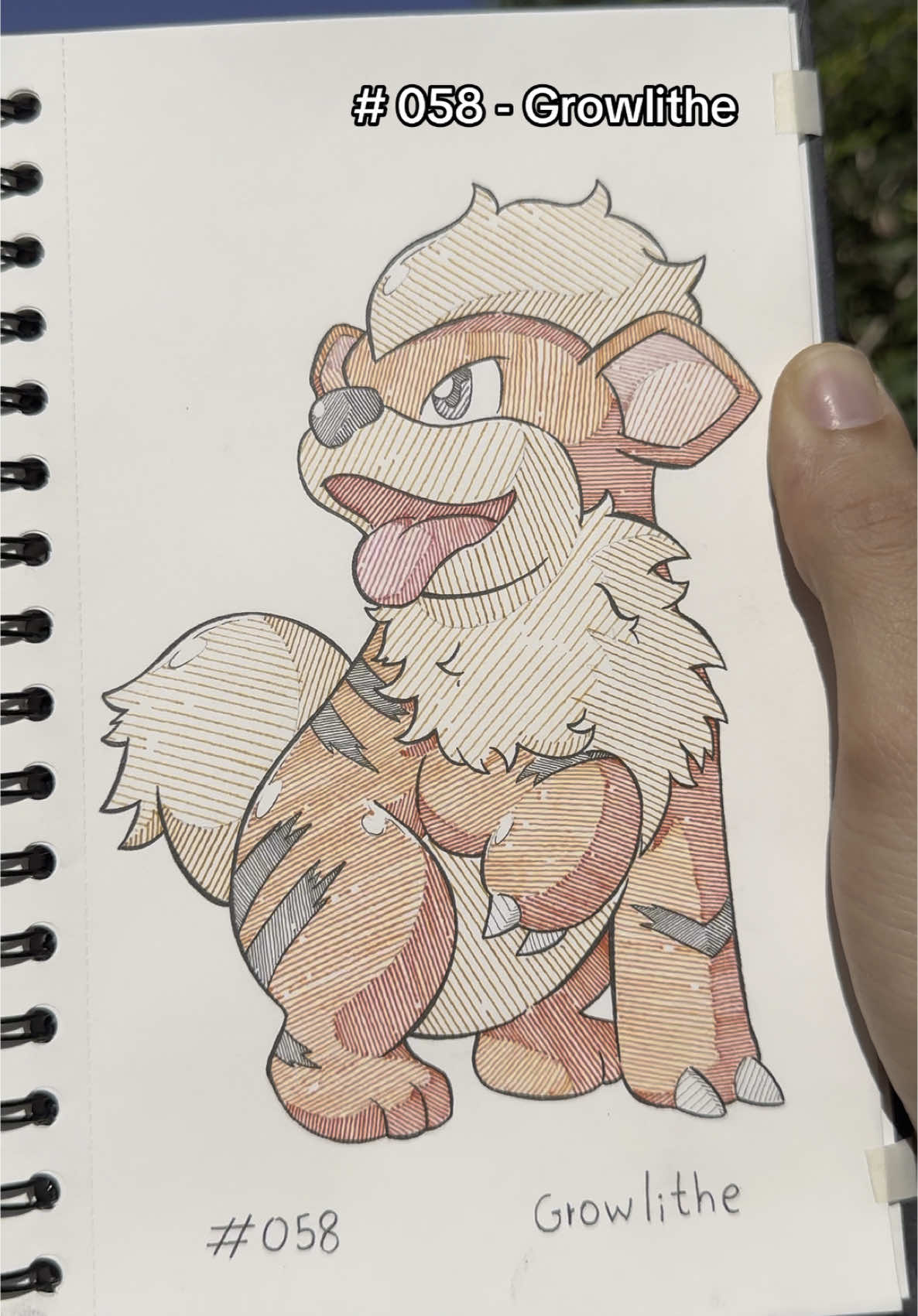 What’s your favorite Pokémon from Kanto? Pokédex Sketchbook # 058 qual seu Pokémon favorito de Kanto?  #pokemonart #pokemonfanart #sketchbooktour #fyp #pokemontiktok 