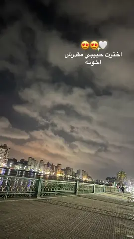 اخترت حبيبي مقدرش اخونو😍😍🤍#song #اغاني 