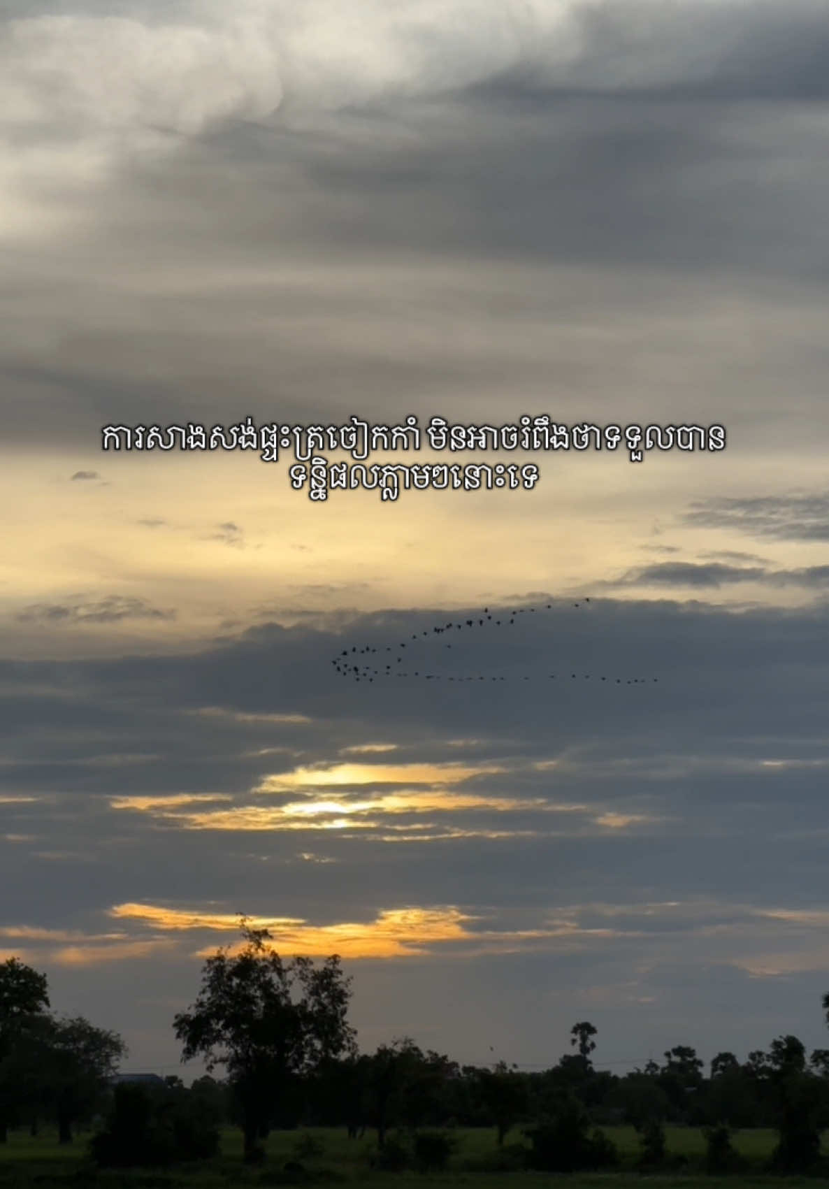 សកម្មភាពបន្ដិចបន្ទួចនៅក្នុងថ្ងៃនេះ 🥰 #fyp #fyi #foryou #foruyou #foryoupage #construction #birdnesthouse #business #familybusiness #tiktok #viral #trending #cambodia #CapCut #birdnestingseason #ត្រចៀកកាំ #ទឹកត្រចៀកកាំធម្មជាតិ #borinabirdnest 