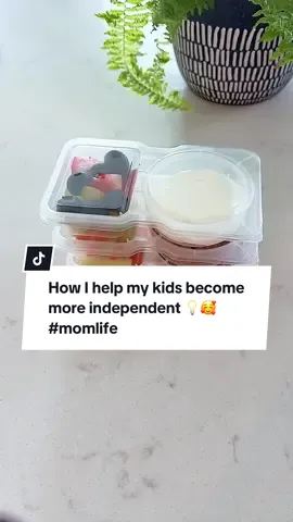 I started prepping these little snack containers once a week so my kids always have something ready in the fridge — no more ‘Mom, I’m hungry!’ every 5 minutes 😂 They’re leak-proof, dishwasher safe, and the perfect snack size. Totally changed our routine! #dealsforyoudays #summertransformation #summerwonderland #SuperBrandClub #tiktokshopmothersday #snackideas #MomsofTikTok #momlife #momtips #parentinghacks #foryou #fyp #foryoupage #tiktokfinds #tiktokshop #familytime #organizedmom 