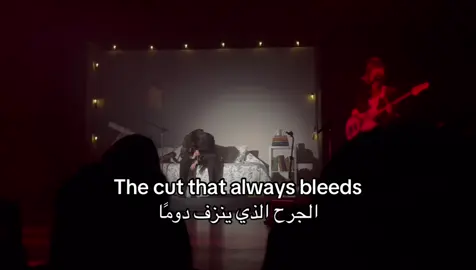 The Cut That Always Bleeds Conan Gray #fyp #explore #foryou #fypシ゚ #fypage #lyrics #tiktok #اكسبلور #repost #trend 