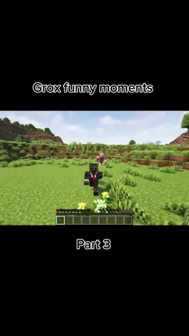 Grox funny moments | Part 3 #groxminecraft #grox #minecraftmemes #funnytiktokvideo #villager #minecraftvillager #viralfy #fyyyyyyyyyyyypppppp 