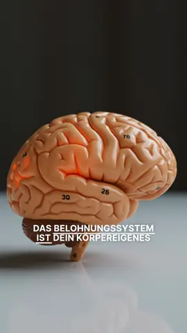 #psychology #videoviral #glückssystem 