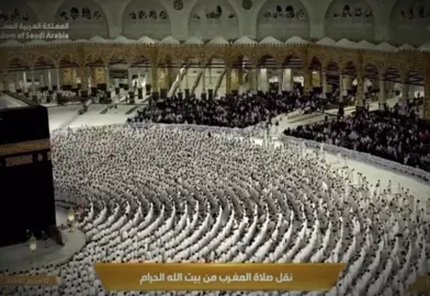 اول صلاة لشيخ محمد للحيدان في الحرم 🤩   ماذا لو 😞 ؟#الحرم_المكي_الشريف🕋 #محمد_اللحيدان_تلاوه_هادئه #محمد_اللحيدان #قران_صلي_علي_النبي #قران_كريم #قران 