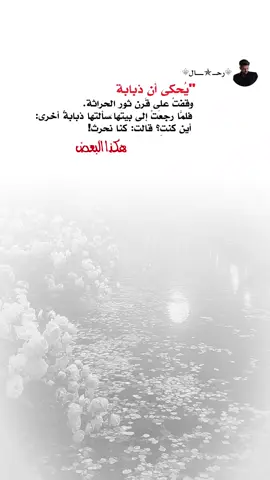 #اكسبلور 