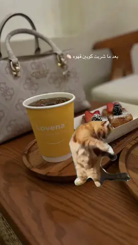 ##🤍🤍 #اكسبلورexplore #اكسبلورexplore_o_الهشتاقات 