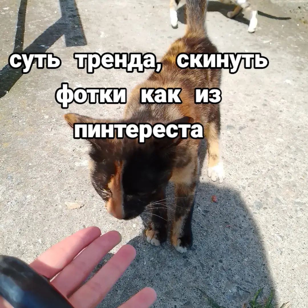#фотки #природа #фоткикакизпинтерест #рек #fypシ 