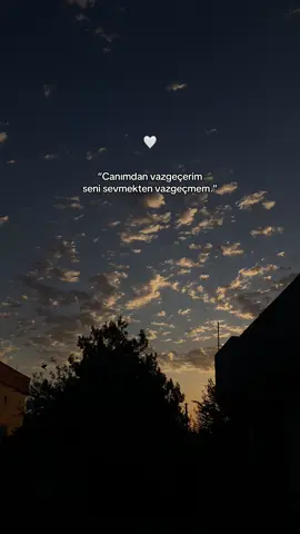 Seni sevmekten vazgeçmem.. #siyahaasik1kadinn #storylikvideo #storylikvideolar📌 #günbatımı #kürtçeşarkılar #rojda #kuroneke 