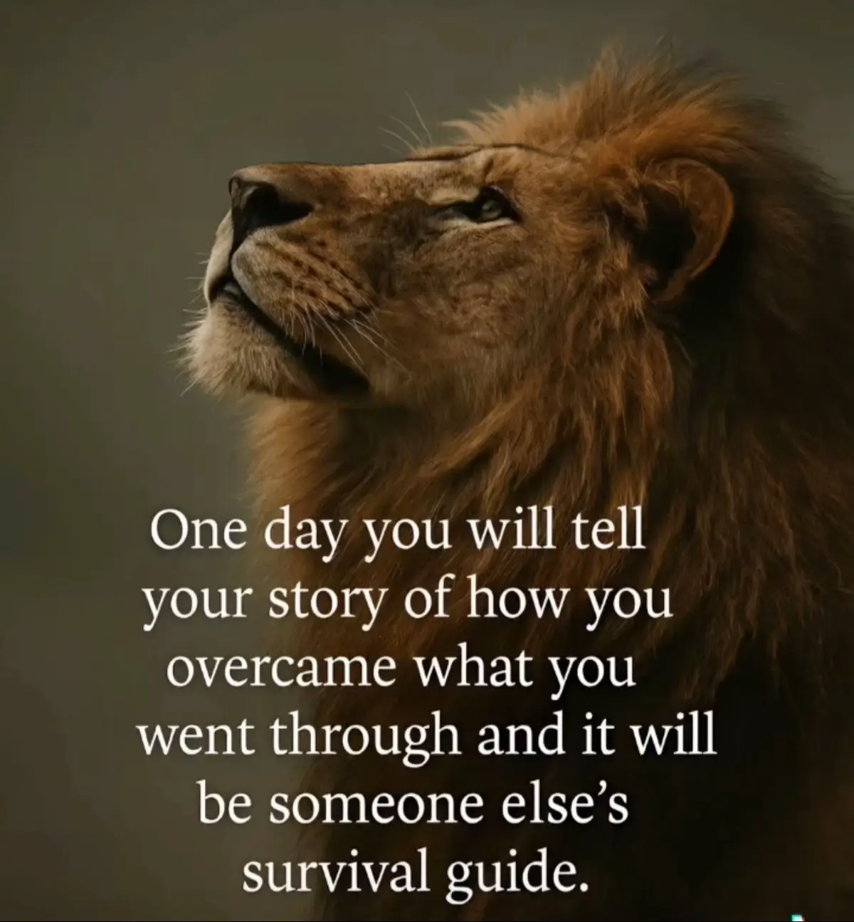 #inspirational #fyp #viral #trending #motivational #foryou#trending #foryourepage #motivationalvideo