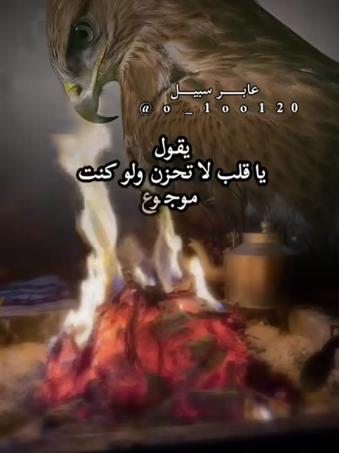 #أكسبلور_شعر_حكم_خواطر 