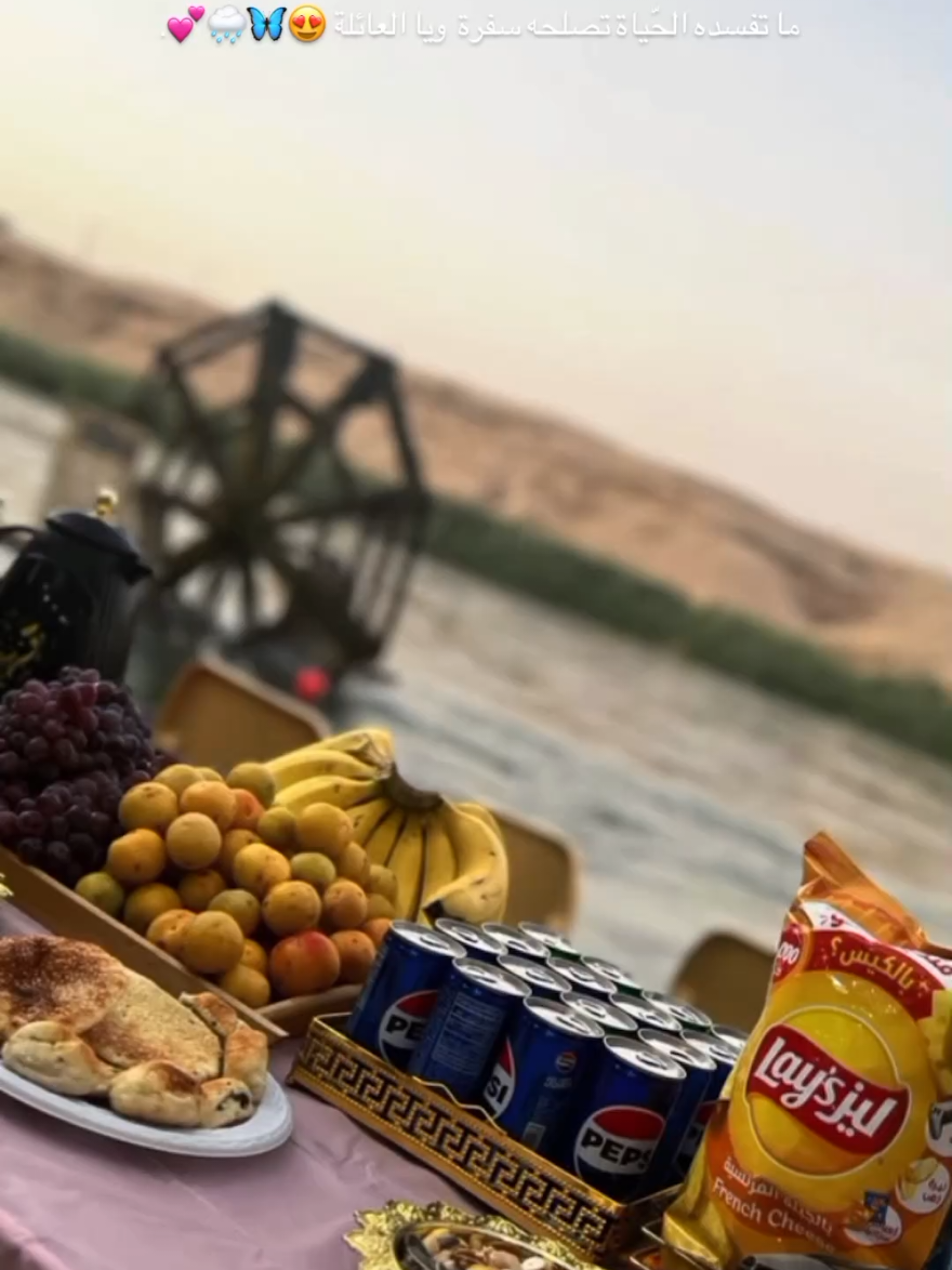 سفرة البارحة ويا الحبايب😂🐍.  #الانبار #فولو #اكسبلور #explore #قرية_الوس_حديثة #سفرة #الصيف #طلعات 