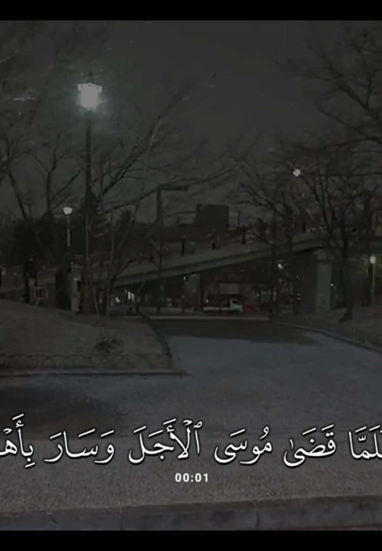 سورة #القصص | #محمد_بوحسون 