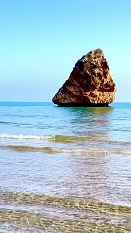 موسكاردة ❤️ #algerie🇩🇿 #maroc #france 