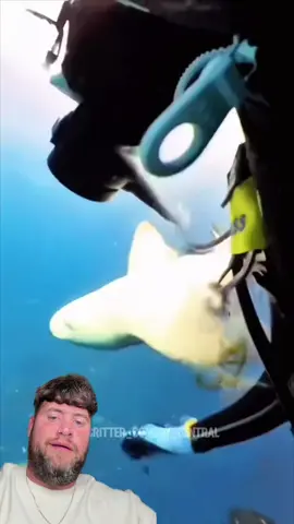 #duet THE OCEAN IS A WEIRD PLACE - @Critter Comedy Central - IG - richardsalesofficial #viral #xyzbca #FYP 