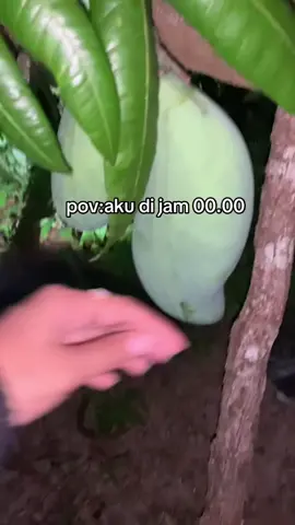 smuaa milik tuhann🥰🥰#fyp #viral 