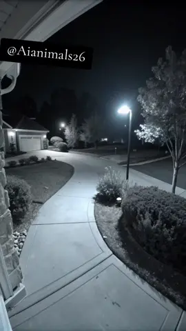 Evil Santa #cctv #santa 