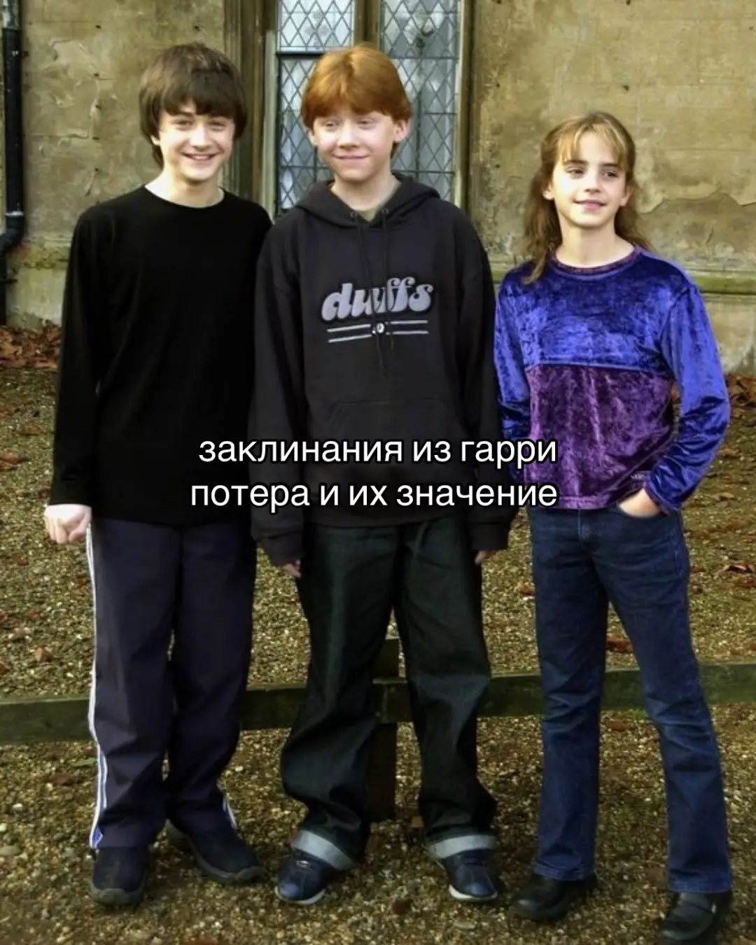 #заклинанияизхогвартса #заклинанияизгаррипоттера #creatorsearchinsights #HarryPotter #гаррипотер 