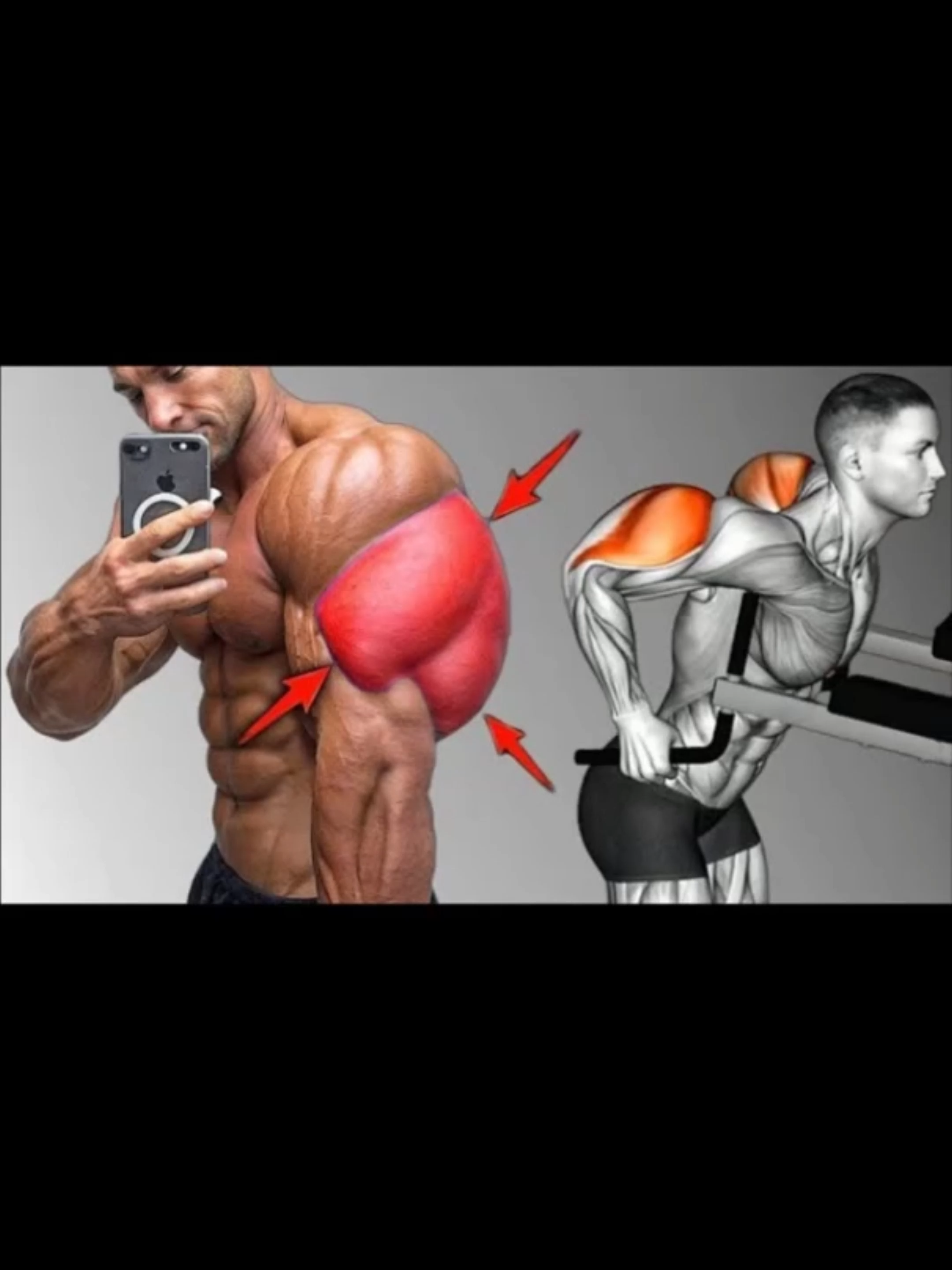 5 Killer Triceps Exercises for Massive Arms #motivation #workout #triceps #biceps #Fitness #exercise #bodybuildingmotivation #bodybuilding #ifbbelitepro #muscles #bodybuilder #Arms #armsworkouts #Armsworkouttips #ifbb #musclemotivation #musclegain #chevronnutrition #gorillawear #armsworkout #Triceps #tricepsworkout #tricepsexercise #Arms #Armsworkout