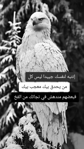#خربشات #عبارات #شاشة_سوداء🖤  #عبارات_جميلة_وقويه😉🖤 #الاسطورة #تصميم_فيديوهات🎶🎤🎬 