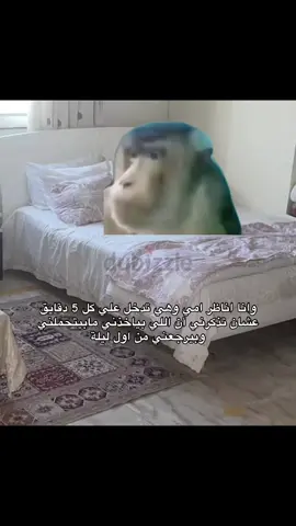 #CapCut #الشعب_الصيني_ماله_حل😂😂 #رياكشن #اكسبلور #ميمز 