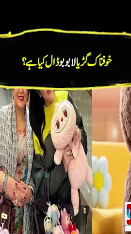 لابوبو ڈال کیا ہے؟ #foryou #foryoupage #fyppppppppppppppppppppppp