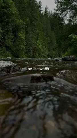 Be like water. #feelings #thoughts #Love #quotes #motivation #inspiration #amazing #lifemotivation #foryoupage #fypシ #inspirationalquotes #trending 