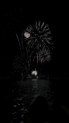 Regardez la fin de la vidéo, vous verrez à quel point le feu d'artifice est impressionnant🤩🎆 #fireworks #photography #pourtoi 