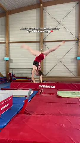Justo @Sparkle&Dream  -10% avec le code MANON10 sur tout le site !!! 🩷🩷#gymnastics #pourtoi #pourtoii 
