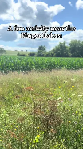 This experience was a lot of fun and I highly recommend it to anyone in the area!! It’s located in Penn Yan, NY and only lasts about an hour. Beautiful views, a peaceful atmosphere, and fun tour guides made the experience well worth it! #fingerlakes #ny #upstateny #newyork #lake #activity #funactivities #adventure #excursion #thingstodo #nature 