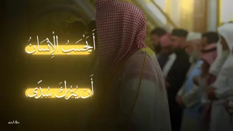 #تلاوة #عبدالله_القرافي #سورة_القيامة 