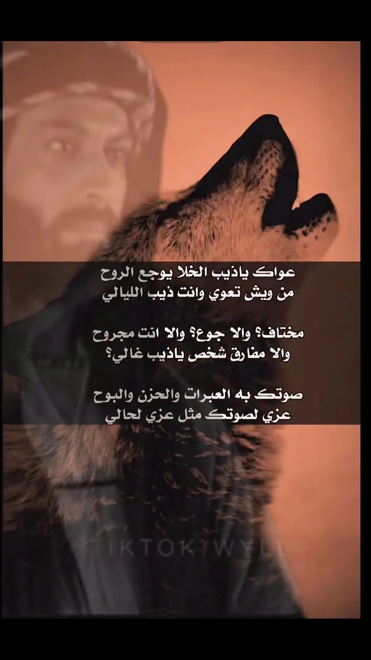 #برق_الحياء #قصيده_شعر_بوح_كلام_من_ذهب #قصيد_بدوي #اكسبلووووررررر #اكسبلور_تيك_توك 