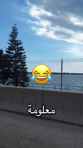 😂😂😂😂😂##نجم_اليمن 😹😹😹🇺🇸🇺🇸🇺🇸🇺🇸🇺🇸#الولايات_المتحدة_الامريكية 