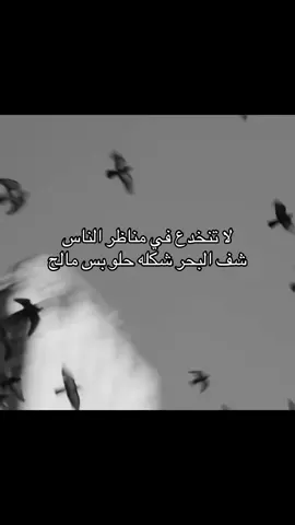 شف البحر شكله حلو بس مالح | #هوجاس #fyp #foryou #explore 