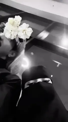 #يسعدلي__اوقاتڪۘم_حبايبي♥️🕊🙋‍♀️ #لايك__explore___ #تفاعلكم_يساعدنا_على_الاستمرار🌝🌷 #مافيني_حيل_احط_هاشتاقات #تفاعلكم_لايك_متابعه_اكسبلوررررراexplore #CapCut #منشوراتي_لاتمثلني_مجرد_ذوق🙂🌷 #مجرد_ذووقツ🖤🎼 #يسعدلي__اوقاتڪۘم_حبايبي♥️🌷 